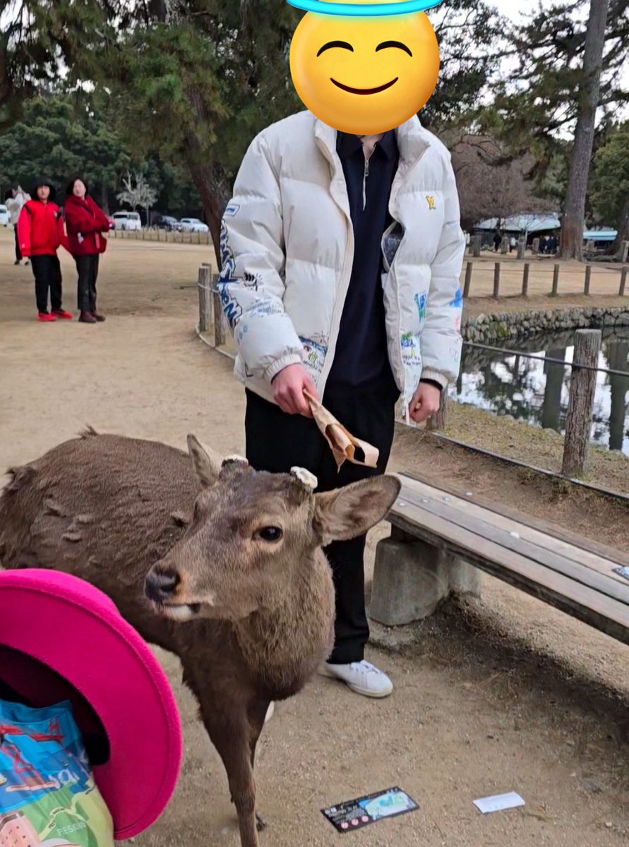この韓国人は嘘をついてます。
まずスタバの袋を鹿さんに食べられたと話していますが彼が持っているのはスタバの袋ではありません。(スタバ店員確認済み)
それとコンクリートじゃないと言っていましたがこの近くにはコンクリートがあります。それと男性が叫んで近づいてきたと記事にありましたが