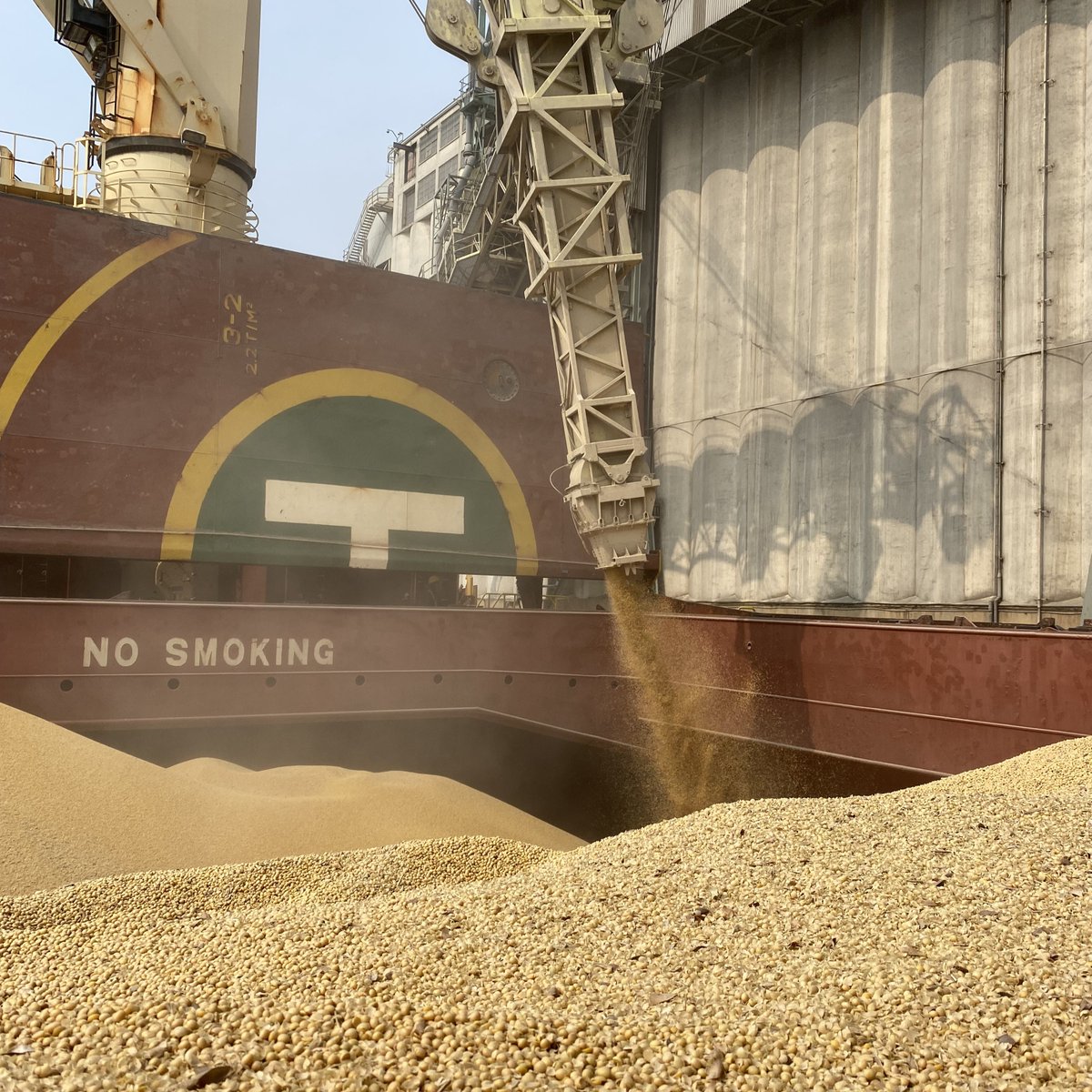 PortMTL's tweet photo. Le secteur du grain a connu une année exceptionnelle, marquée par une forte progression des volumes exportés avec un total de 4,6 millions de tonnes. Chiffre qui témoigne de l’importance stratégique du #PortMTL dans le commerce des grains et de sa capacité à répondre aux réalités d’un marché dynamique. 🌾 https://t.co/PAoUD8D60L
#Exportation #Agroalimentaire