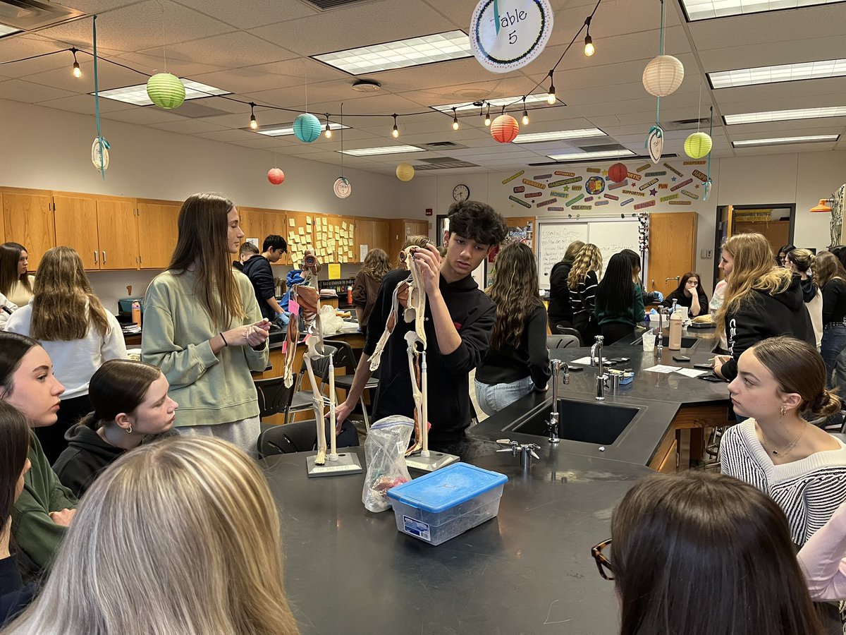Jason Burik (@jasonburikmsd) on Twitter photo Special thanks to Mrs. Foxwell and her HS Bio Med students for meeting with Mrs. Jak’s <a href="/DEWMiddleSchool/">David E. Williams</a> students today! #StudentCollaboration <a href="/hilltopspartan/">Montour High School</a> Special thanks to Mrs. Foxwell and her HS Bio Med students for meeting with Mrs. Jak’s <a href="/DEWMiddleSchool/">David E. Williams</a> students today! #StudentCollaboration <a href="/hilltopspartan/">Montour High School</a>