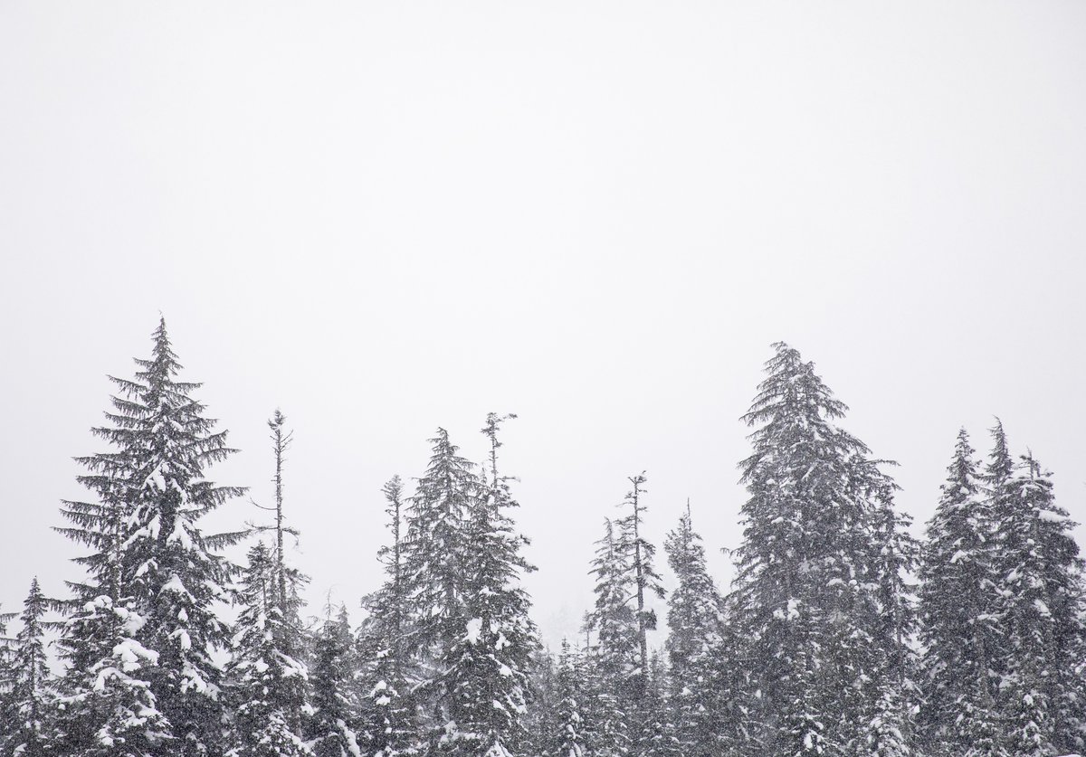 Due to inclement weather, the Lynnwood Learning Center (ABSN program) will start two hours late, at 10 a.m., today, Thursday, February 6. All community members are urged to use discretion in deciding whether to travel to campus and should use caution while on the road.