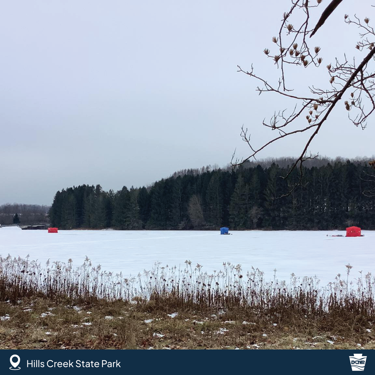 DCNRnews's tweet photo. Winter is more beautiful in Pennsylvania State Parks!
Find a park near you → https://t.co/6KZ3CxoKGG
#Winter #PAStateParks #PAWinter #ExploreOutdoors #ExplorePA https://t.co/lYYKvjdKPf