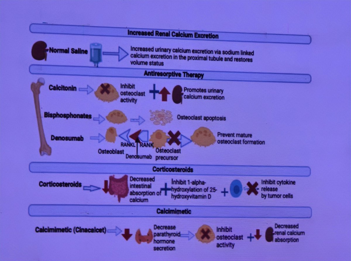 saikum37's tweet photo. Hypercalcemia #ISNWCN https://t.co/21ZPk1EeRp