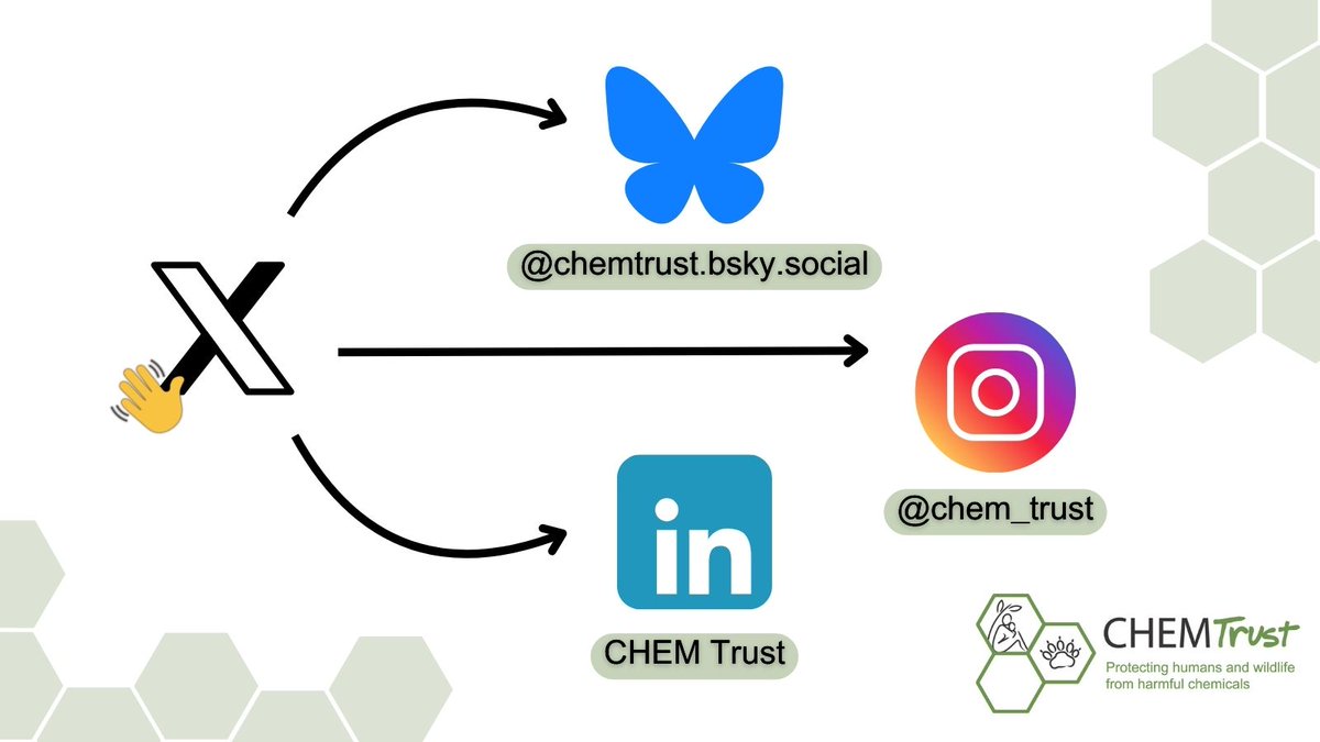 CHEMTrust's tweet image. Follow us on our other channels!
We’re on:
🦋 Bluesky -chemtrust.bsky.social
📷 Instagram – chem_trust
🔗 LinkedIn – CHEM Trust
If you want to receive updates on our work straight to your inbox, subscribe to one of our newsletters! 👉 chemtrust.org/newsletters/