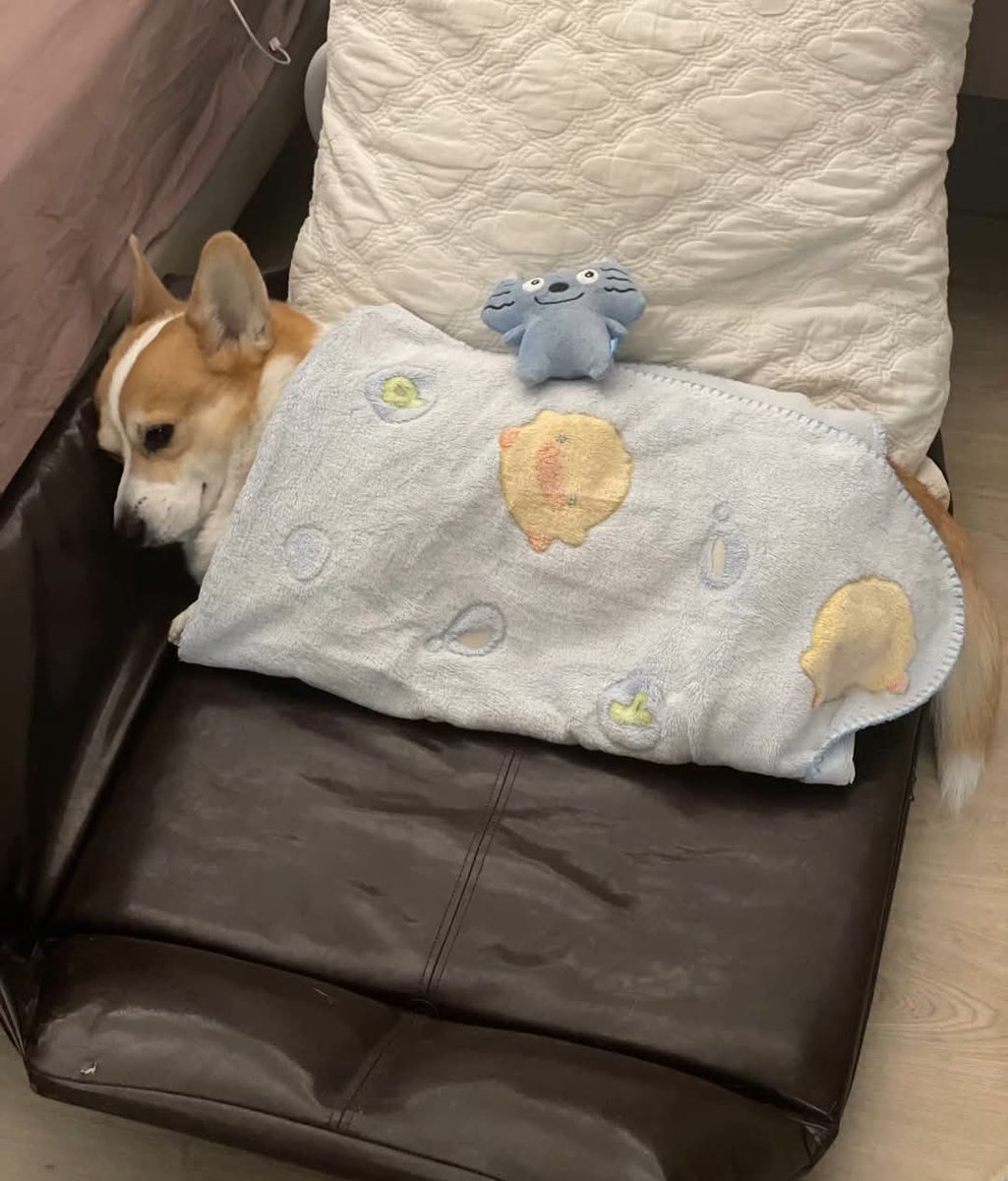 itimaliasof's tweet image. E se eu não for?