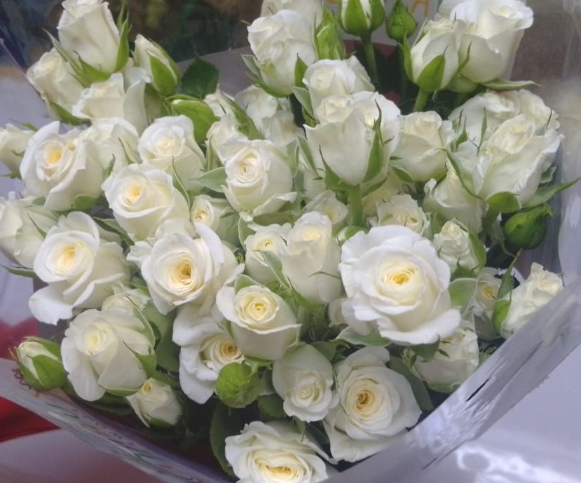 Mzurrie Flowers tweet media