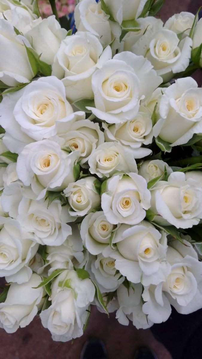 Mzurrie Flowers tweet media