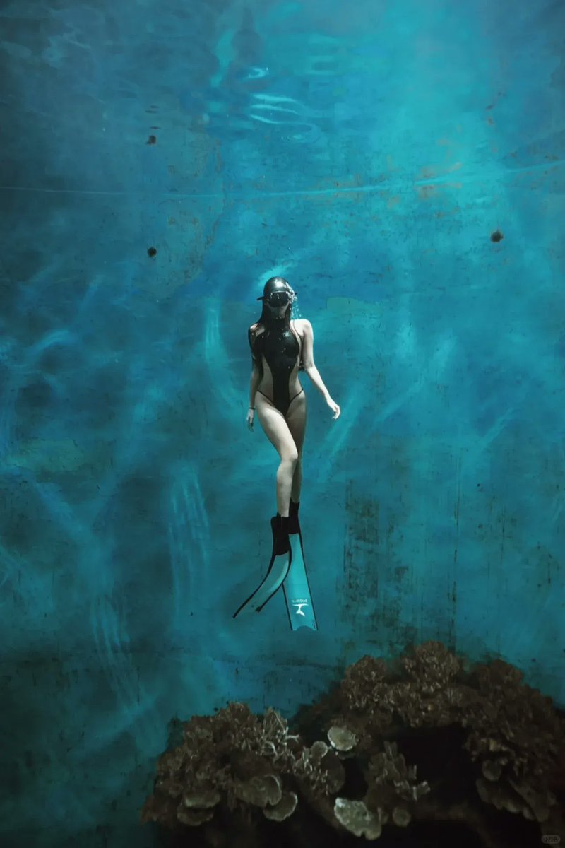 硬核大叔 tweet media