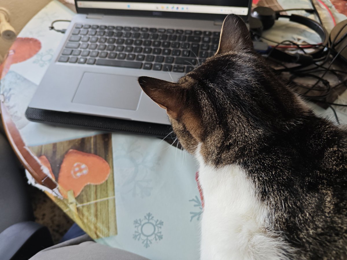 caichar's tweet photo. 6 de febrero, día de la fundación de Ricoh. @ricohspain. Y en esta foto se aunan mis dos pasiones. Mi trabajo y los gatos!!

#RicohFoundationDay https://t.co/7VSmzxiKX2