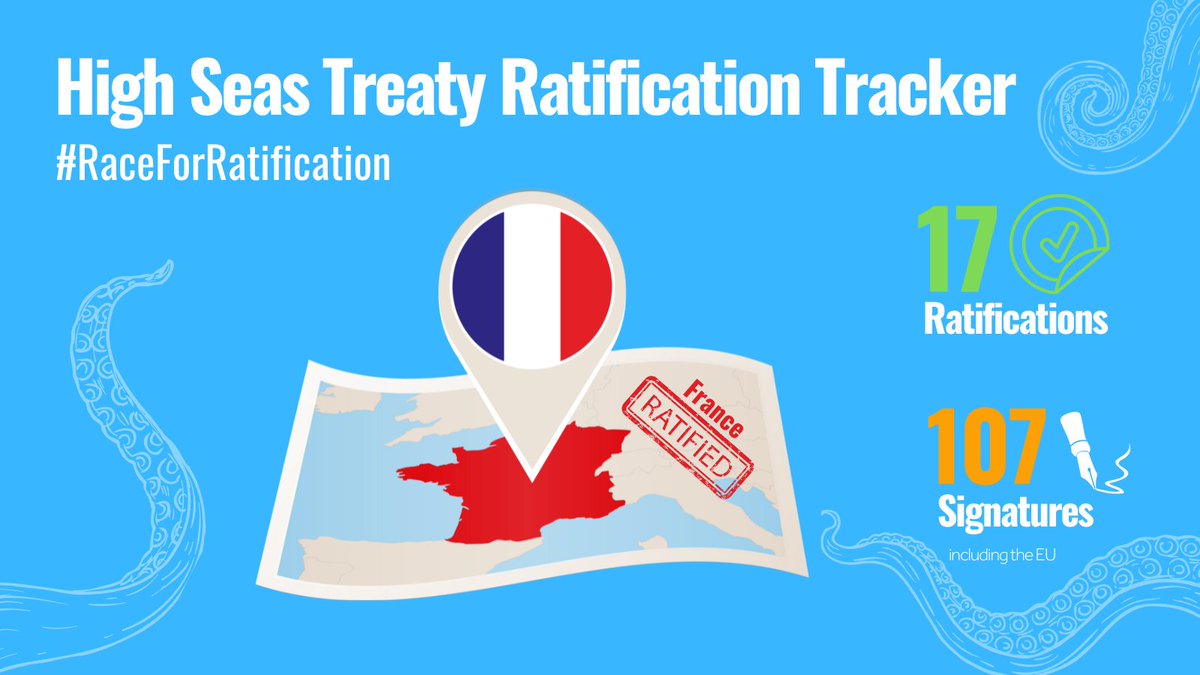 High Seas Alliance (@highseasallianc) on Twitter photo 👏 Congratulations France🇫🇷 on your leadership! Your ratification of the #HighSeasTreaty at the <a href="/UN/">United Nations</a> moves the official dial-up to1️⃣7️⃣countries!
As the hosts of #UNOC3, France’s ratification sends a resounding signal to the rest of the world on the importance of the #BBNJ Treaty. 👏 Congratulations France🇫🇷 on your leadership! Your ratification of the #HighSeasTreaty at the <a href="/UN/">United Nations</a> moves the official dial-up to1️⃣7️⃣countries!
As the hosts of #UNOC3, France’s ratification sends a resounding signal to the rest of the world on the importance of the #BBNJ Treaty.