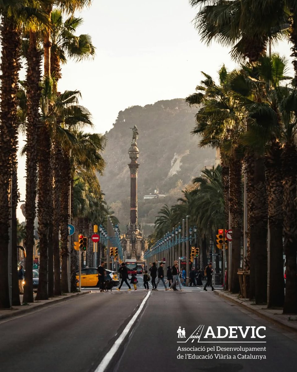 ADEVICatalunya tweet media