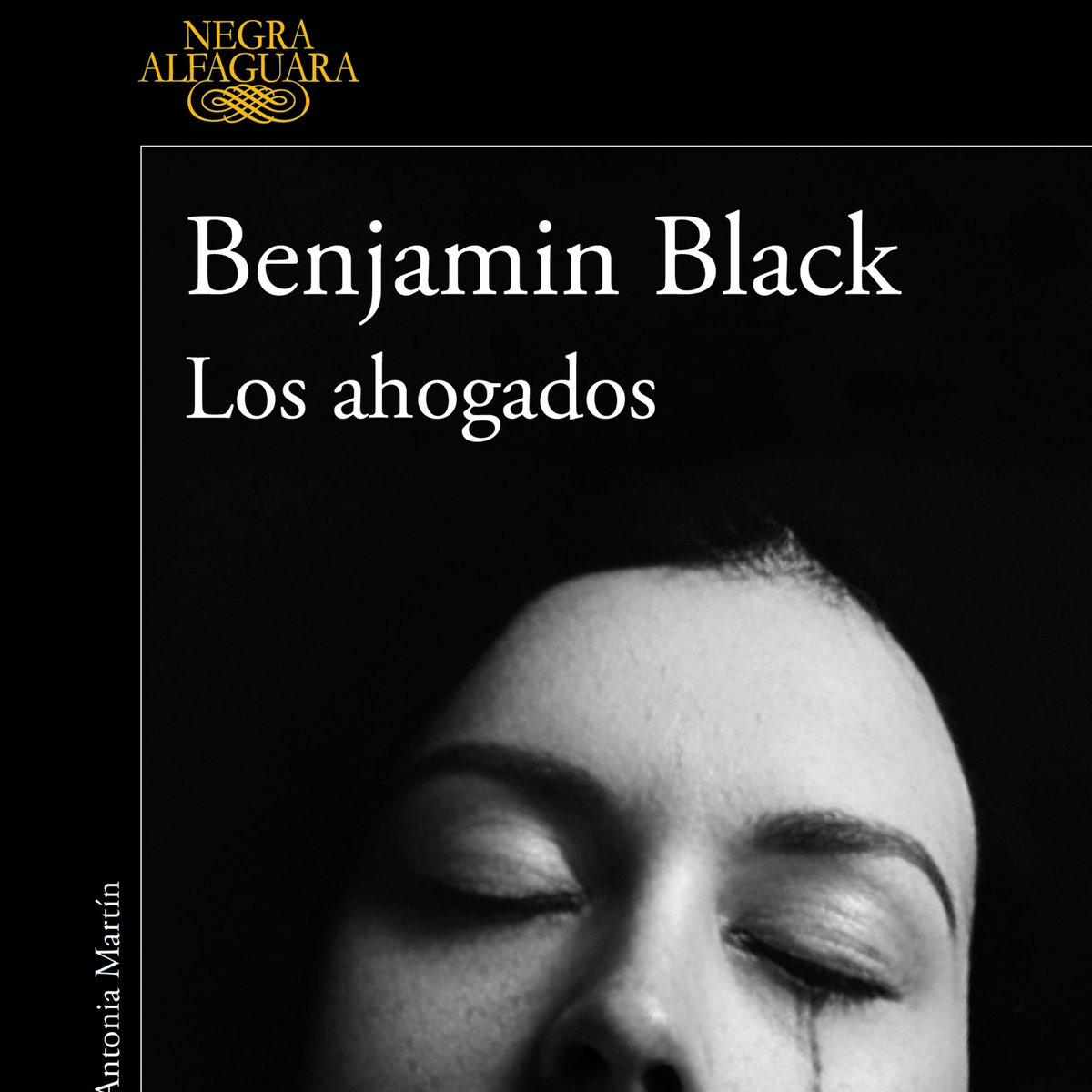 AlfaguaraES's tweet photo. ¡Hoy es jueves de #novedades! Y llega a las librerías «Los ahogados», de Benjamin Black (John Banville).

«Brumoso y evocador. [...] Absolutamente lúcido». Luis Alemany, El Mundo

Más en 👉 https://t.co/0t4j6mYikd

#LosAhogados #BenjaminBlack https://t.co/J8Z6wVdiDT