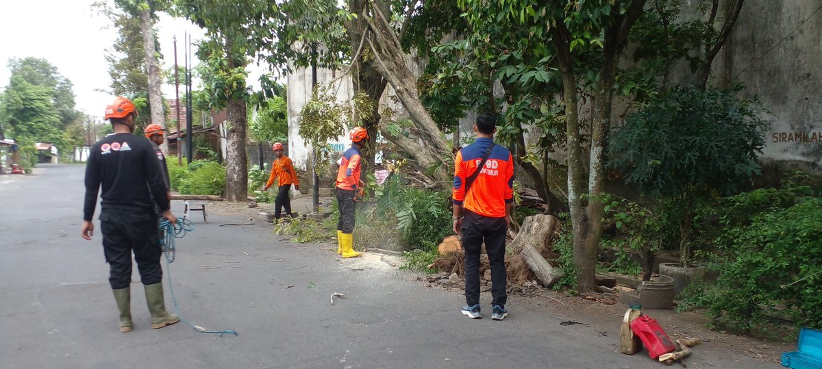 Angin kencang yang terjadi pada hari Kamis, 6 Februari 2025 menyebabkan pohon tumbang jenis Sono di Jalan Brantas Kelurahan Jogoyudan dan Pohon Tabebuyah di Jalan M. Husni Tamrin Kelurahan Tompokersan Kecamatan Lumajang.
TRC BPBD dan DLH Kab Lumajang bersama melakukan penanganan.