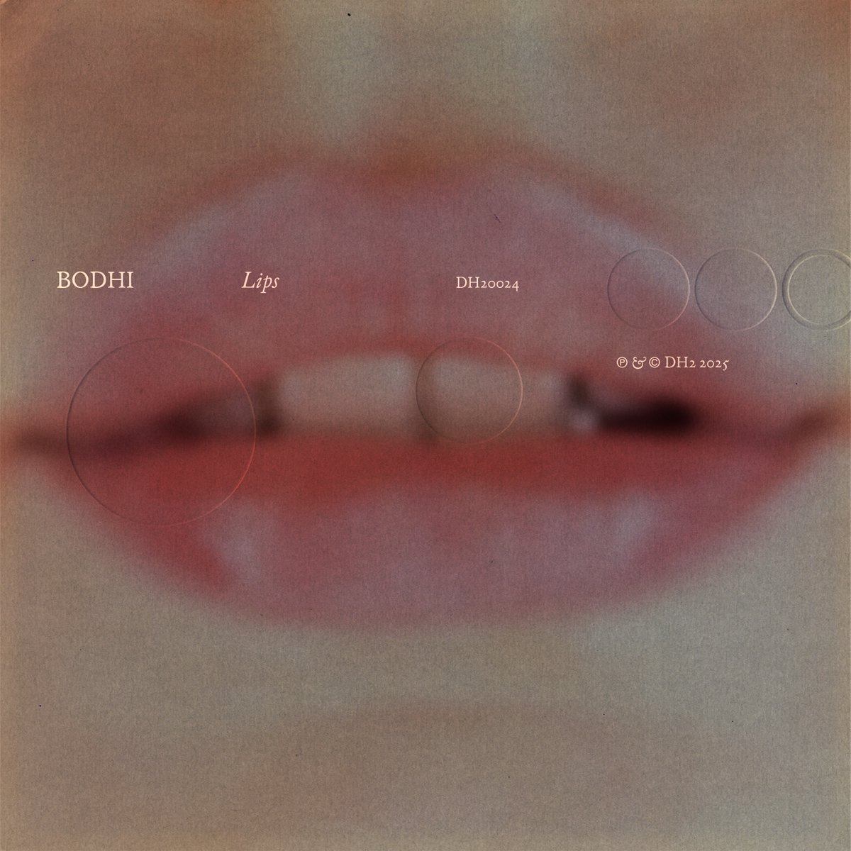 dh20024
<a href="/Bodhi_music/">Bodhi</a> - Lips
Out now

dh2.ffm.to/lips