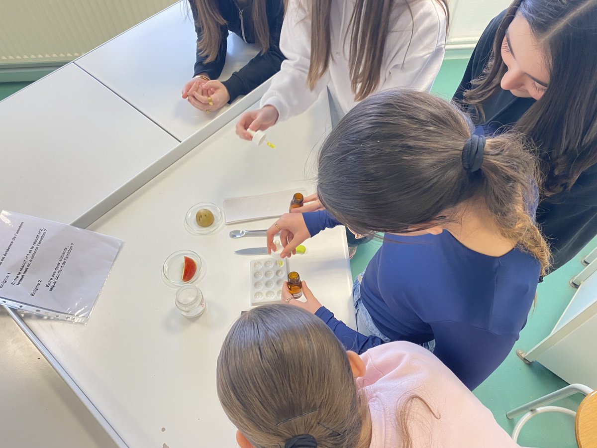 Lycée polyvalent Nelson Mandela Poitiers tweet media