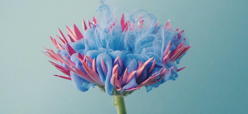 Del alto rendimiento al alto impacto 

harvard-deusto.com/del-alto-rendi…