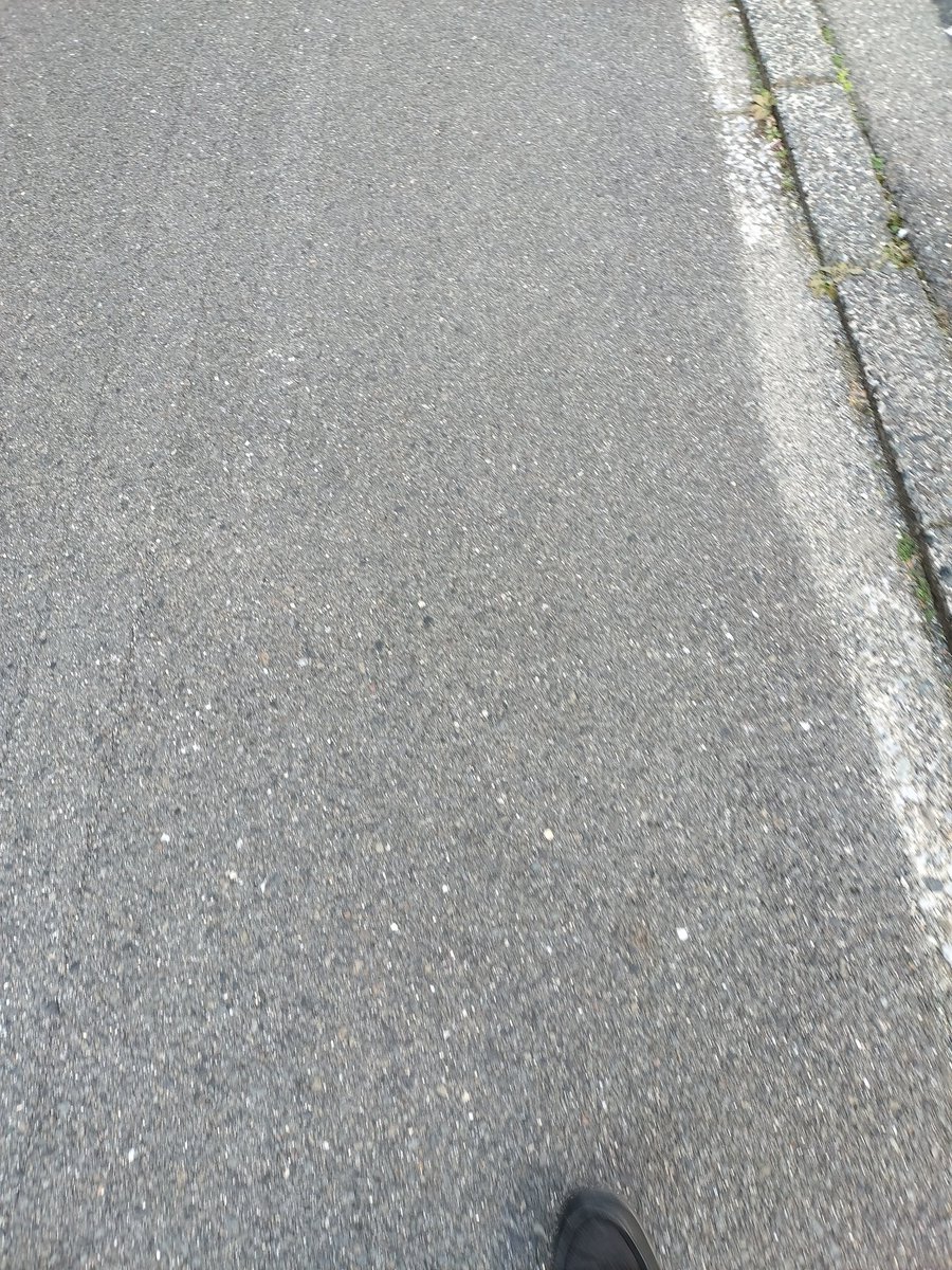 怪しい奴の怪しい足先が何故か我が液晶に現出しているこの晝さがり