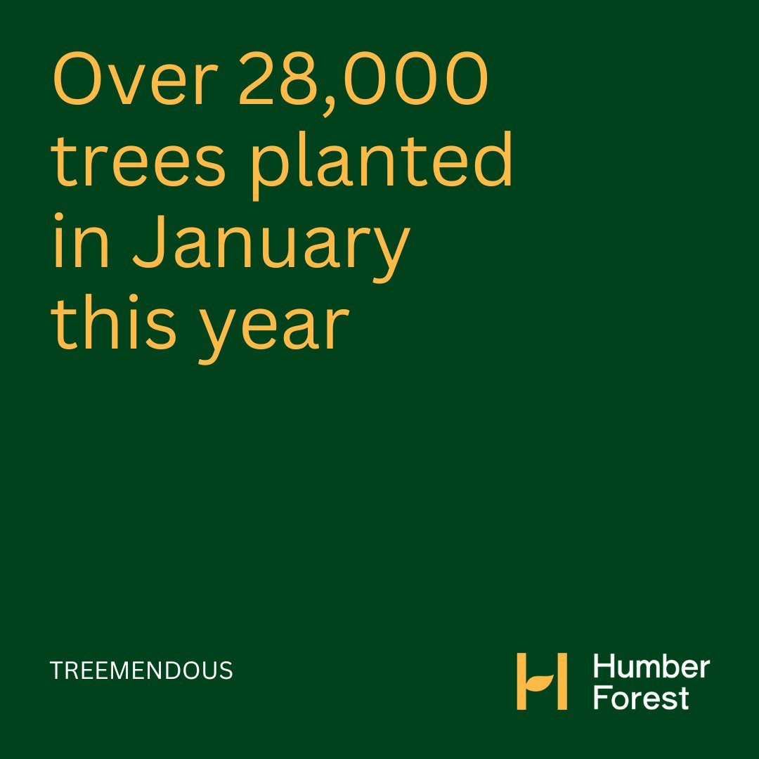 Humber Forest tweet media