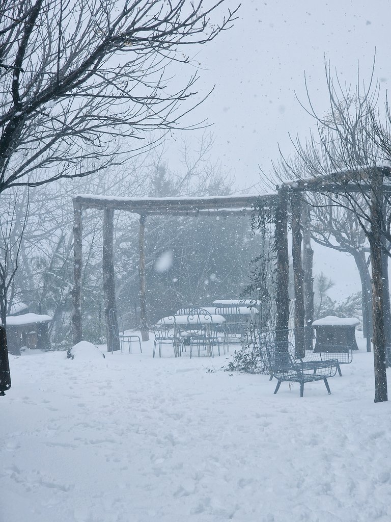 rami_rizk's tweet photo. ❄️ https://t.co/t5IbDgIK08