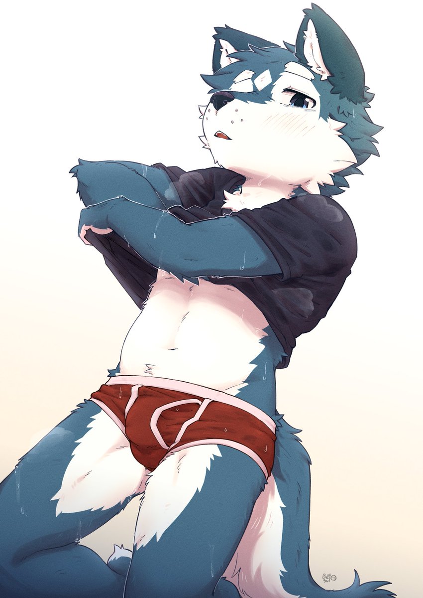 Betsuto🔜関西けもケ11 tweet media