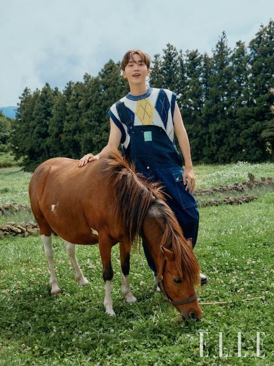profboos's tweet image. seungkwan has a horse for YOU 🫵