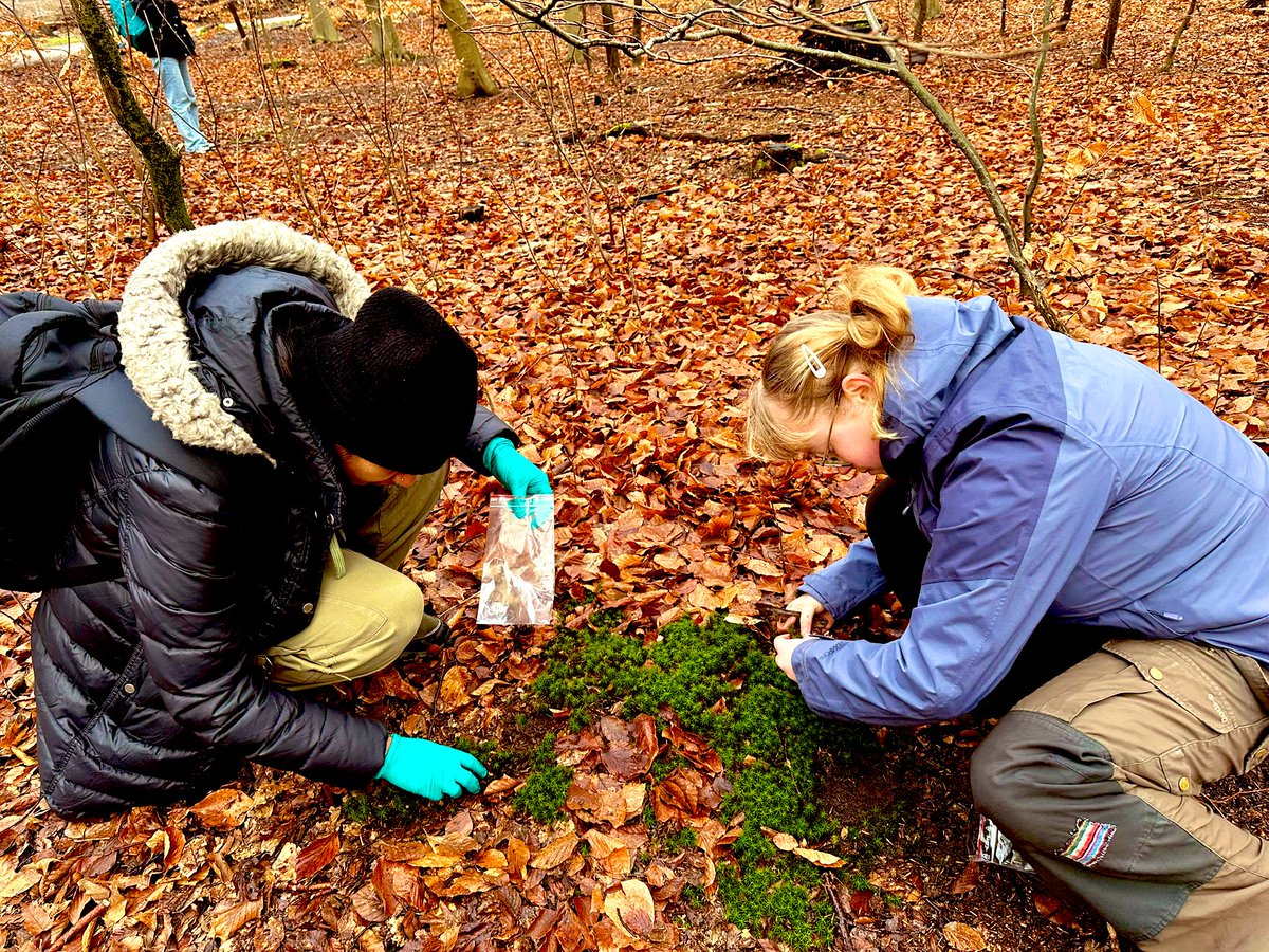 Nasmille Larke-Mejía, PhD (@nl_larkemejia) on Twitter photo First sampling expedition of the year! #dreammossteam <a href="/Mingyue_Yuan_/">Mingyue Yuan</a>
Wet shoes 💦 , green jackets 🟢 from the tree hugging and muddy black nails 💅 …
We missed you <a href="/kathrin_rousk/">Kathrin Rousk</a>! First sampling expedition of the year! #dreammossteam <a href="/Mingyue_Yuan_/">Mingyue Yuan</a>
Wet shoes 💦 , green jackets 🟢 from the tree hugging and muddy black nails 💅 …
We missed you <a href="/kathrin_rousk/">Kathrin Rousk</a>!