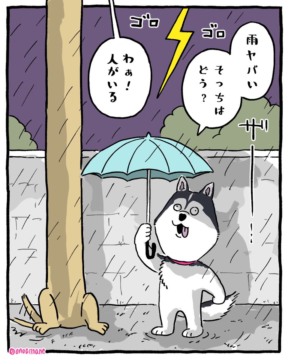 縦に長すぎるダックス 