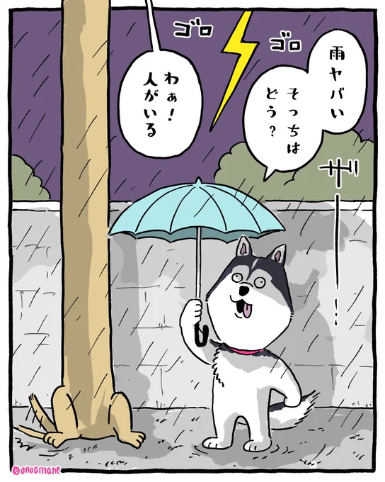 縦に長すぎるダックス 