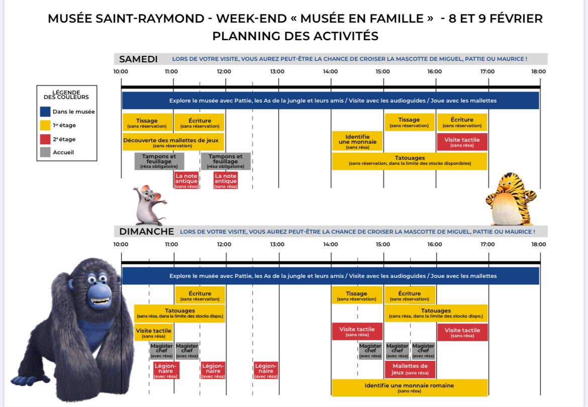 Musée Saint-Raymond tweet media