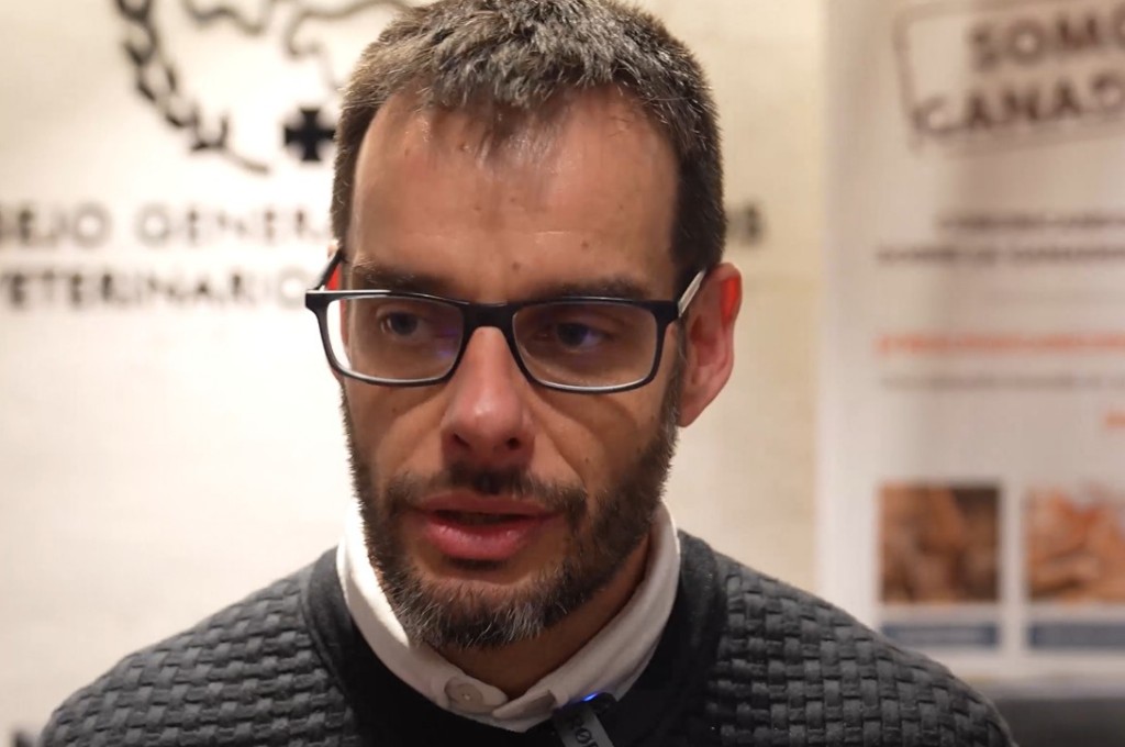 VÍDEO OPINIÓN
"Es necesario poner encima de la mesa el potencial del sector para responder a las necesidades sociales"

Fernando Estellés, profesor de la ETSEAMN y director del Máster en Ganadería de Precisión de la UPV

Mira el vídeo aquí👇
qcom.es/alimentacion/o…