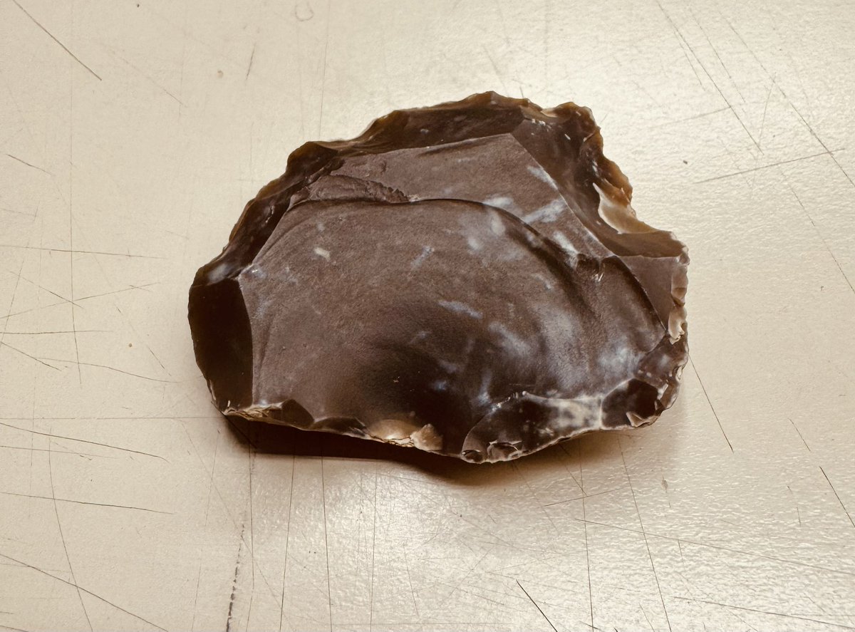 Enza Spinapolice tweet media