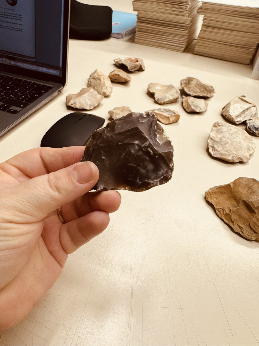 Enza Spinapolice tweet media