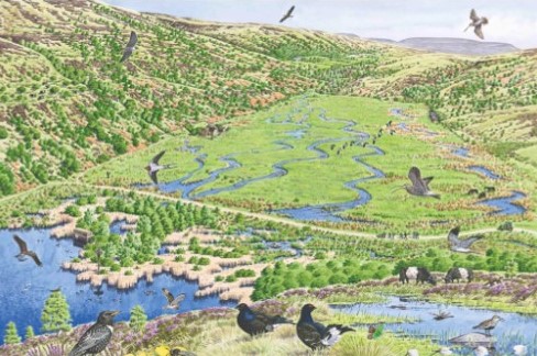 RaptorPersUK's tweet image. RSPB Geltsdale reserve to become &apos;Pennines Paradise&apos; for nature.

Ambitious &amp;amp; important new plans for this flagship reserve.

raptorpersecutionuk.org/2025/02/06/rsp…