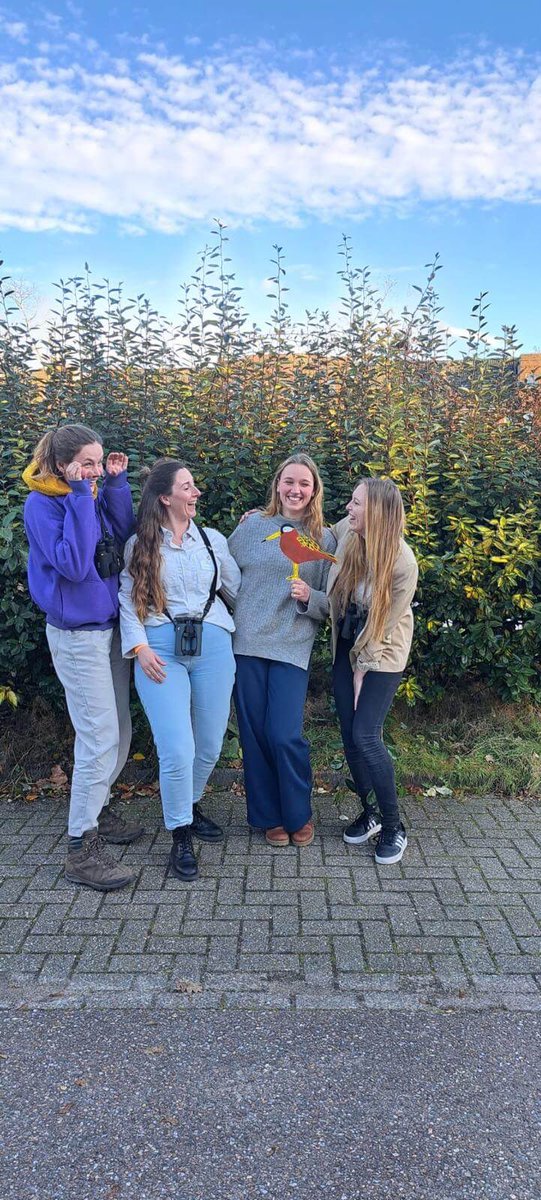 Already a record breaking 22 teams and more then 6450,- euro’s raised for conservation of the dune birds of Texel! 

Donations are much appreciated and have a look at our website here:

waddenvogelfestival.nl/deelnemers-202…

#TexelBigDay2025 #WaddenVogelfestival2025