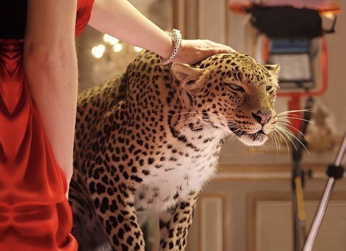 REX (@rexchillect) on Twitter photo 