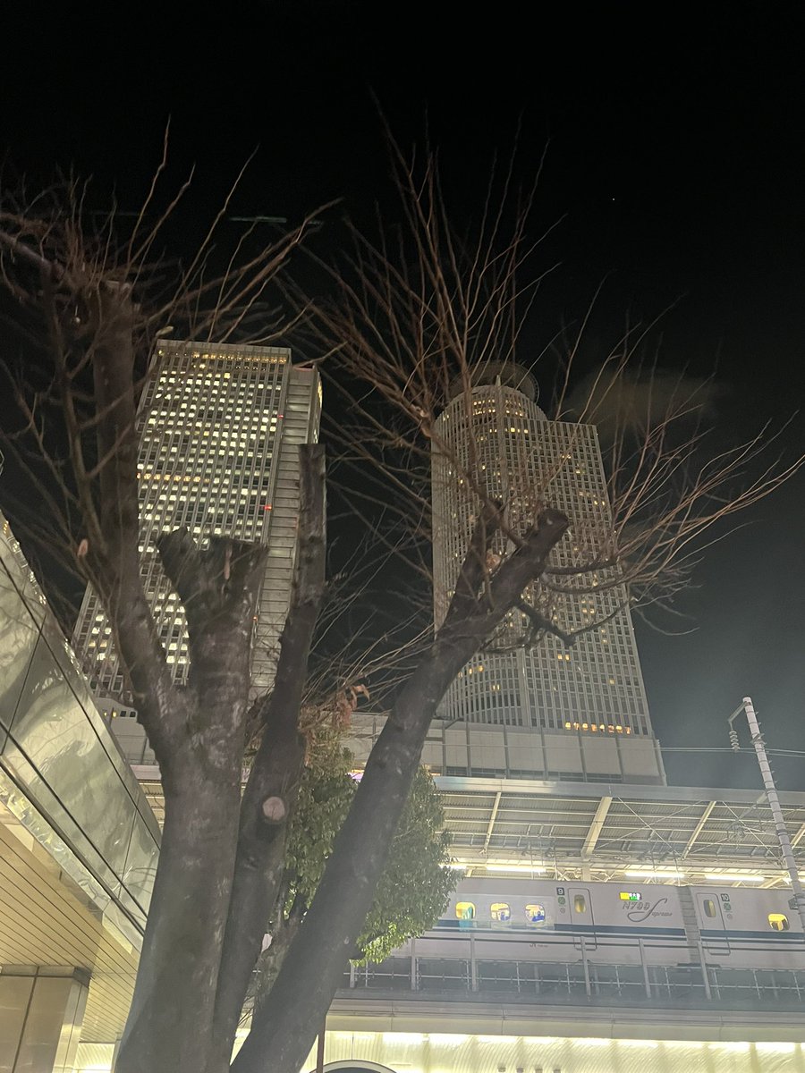 髙橋優斗 tweet media