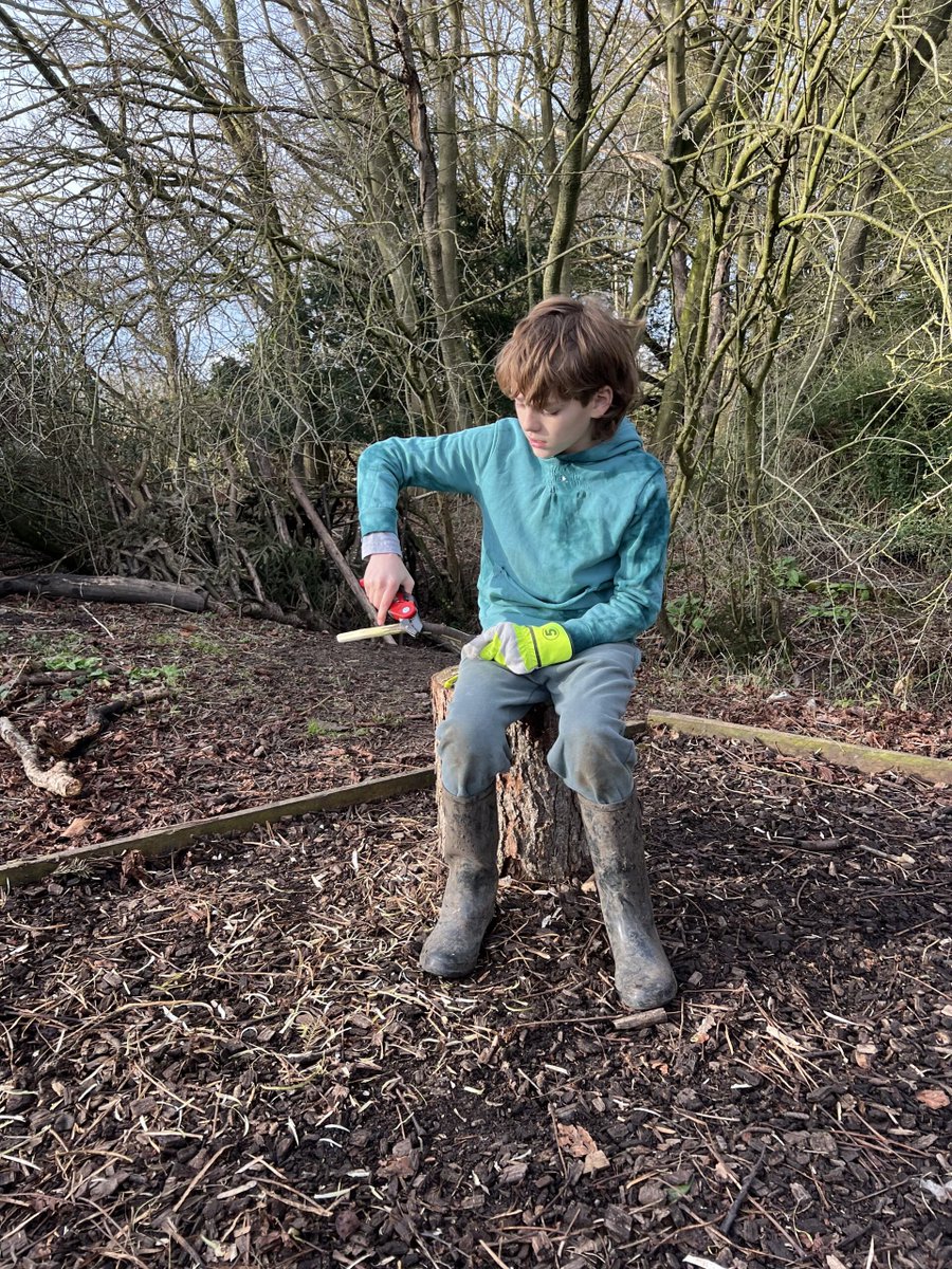 Stonham Aspal CEVA Primary School (@stonhama) on Twitter photo 