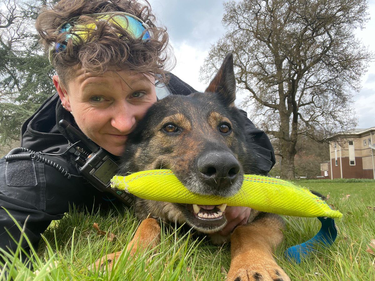 Warwickshire Police Dog Section tweet media