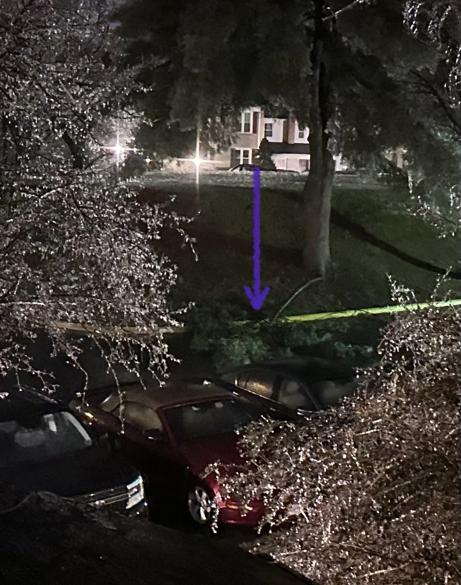 Michelle Crabill tweet media