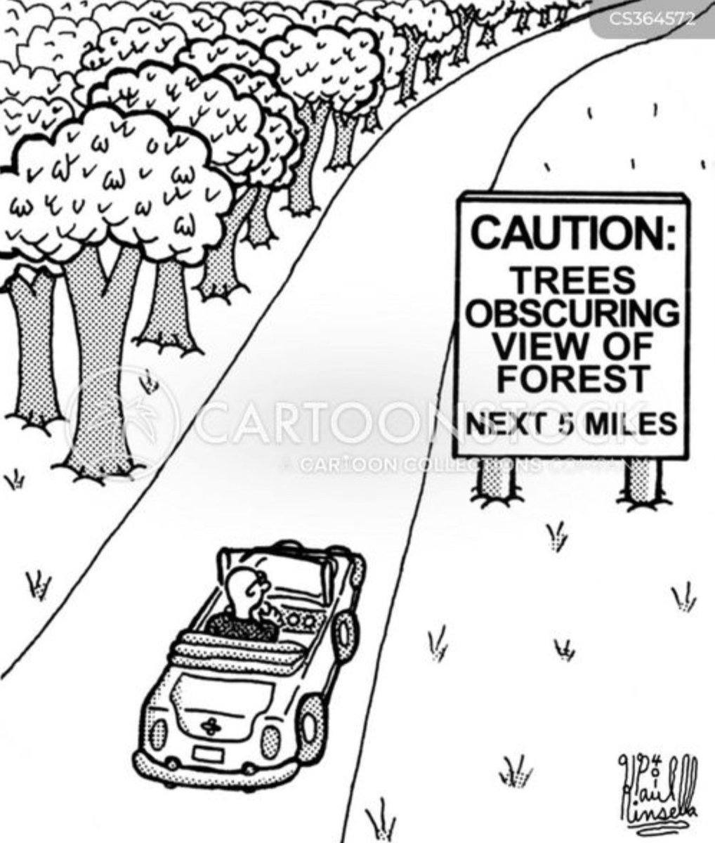 Caleb-Matt Williams 🇺🇸🐘 tweet media