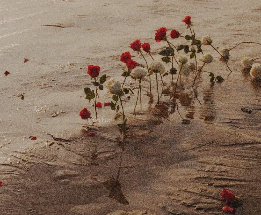 "Olanda bir hayır, 
olmayanda bin hayır ara.."