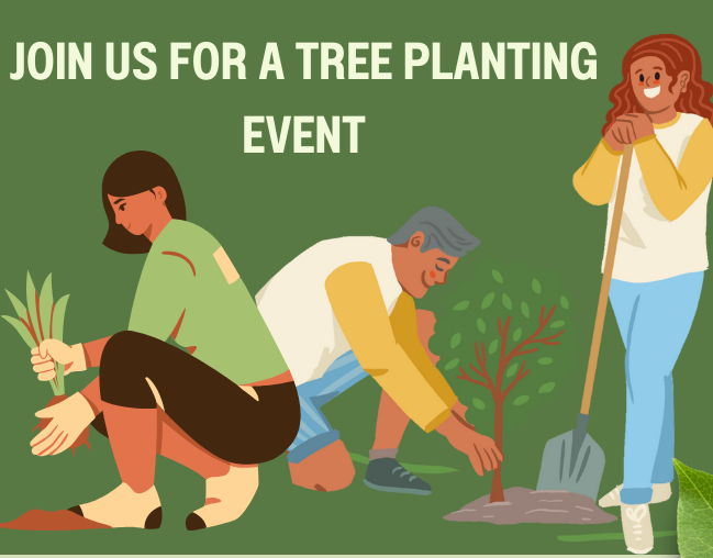 Bromley Council (@lbofbromley) on Twitter photo Volunteer residents are invited as part of an exciting opportunity to establish new woodlands in a number of parks, with the celebratory tree planting benefitting parks now and future generations. <a href="/idverde_Bromley/">Bromley Parks</a>
bromley.gov.uk/news/article/7… Volunteer residents are invited as part of an exciting opportunity to establish new woodlands in a number of parks, with the celebratory tree planting benefitting parks now and future generations. <a href="/idverde_Bromley/">Bromley Parks</a>
bromley.gov.uk/news/article/7…
