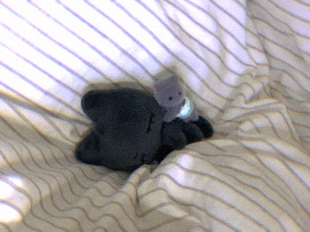 🐈‍⬛🐈‍⬛🐈‍⬛...

3차 판매 태냐코가 생산에 들어갔습니다. 생산에 걸리는 기간은 대략 80일입니다. 감사합니다🙇