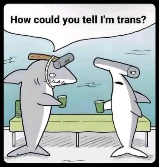 TheAmericanGrl's tweet image. 