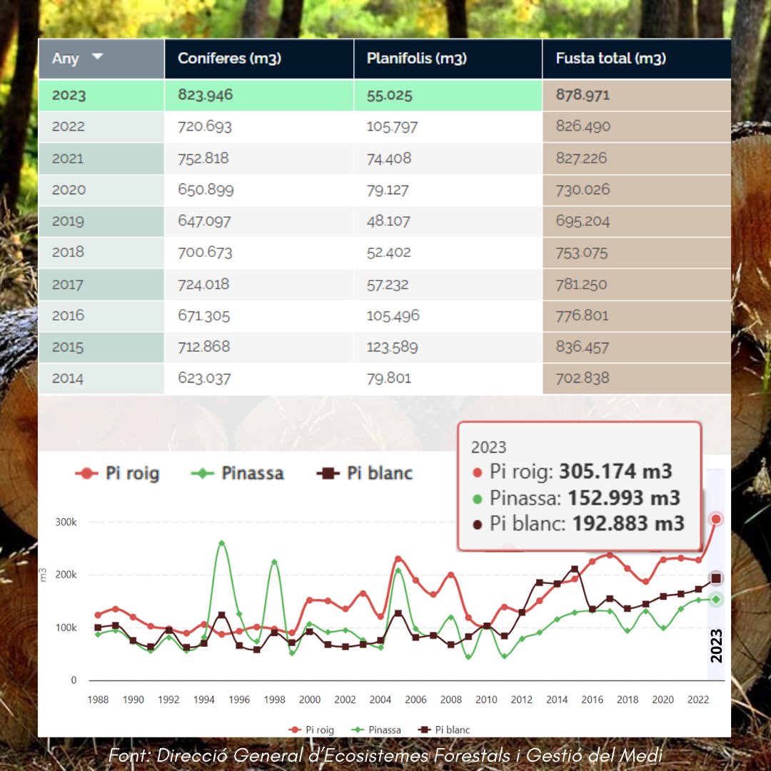 Incorporem les dades d'aprofitaments #forestals 🌳 #fusters per comarca i espècies corresponents al 2023.
Sèrie 1988-2023.

🪵 878.971 m3 totals de FUSTA

- 823.946 m3 Coníferes
- 55.025 m3 Planifolis

👉 observatoriforestal.cat/produccio-de-f…
