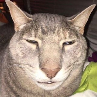 Huh? Wanna get high?