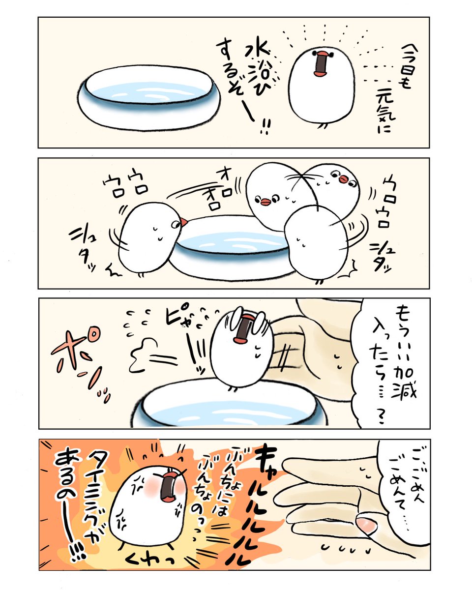 ぶんちょのタイミング
#お風呂の日 