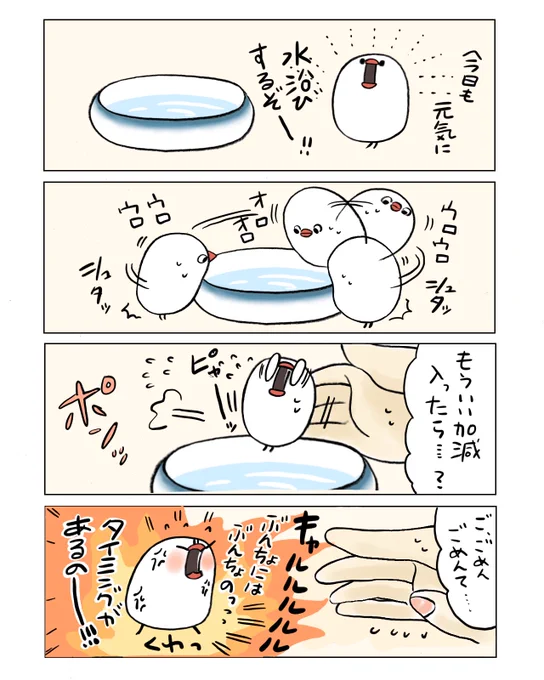 ぶんちょのタイミング
#お風呂の日 