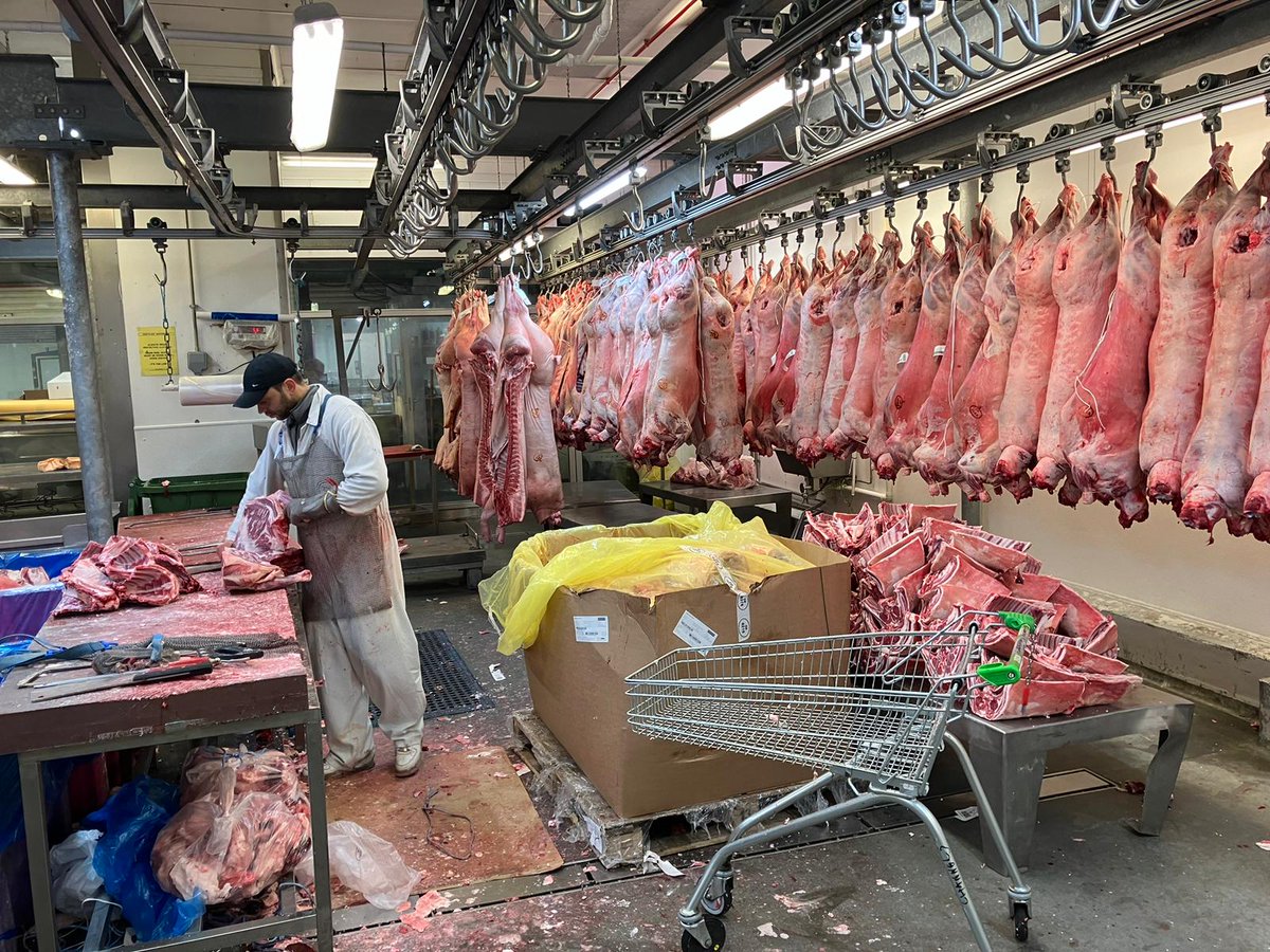 Robin Markwell tweet media