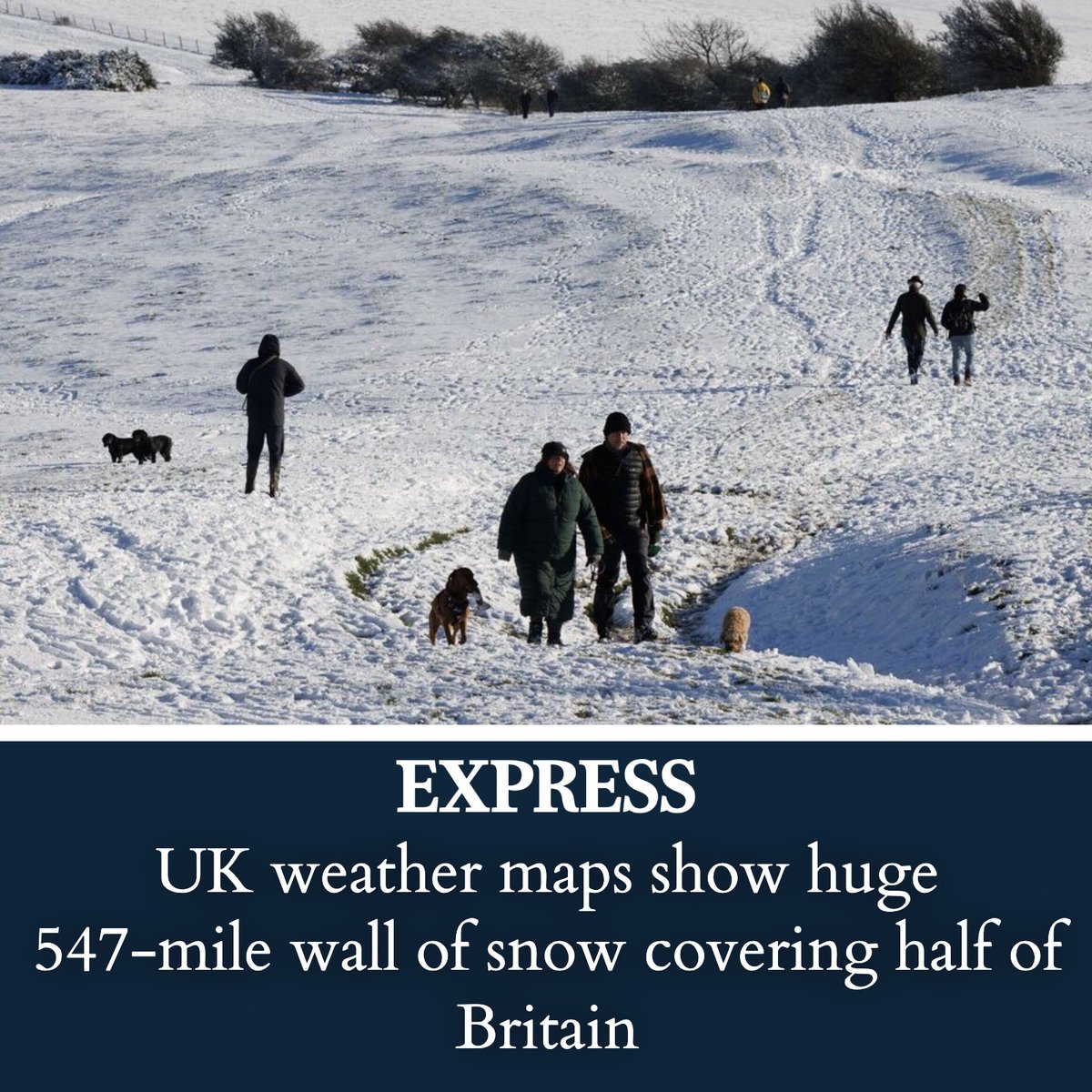 Daily Express tweet media