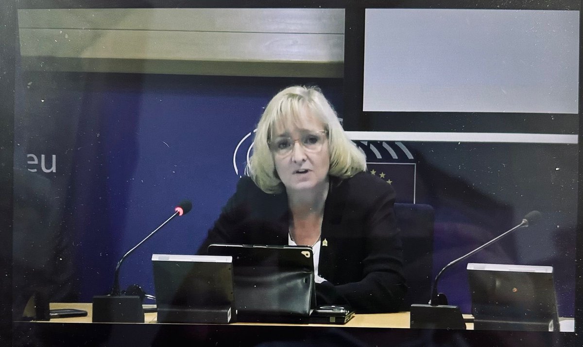 JusticeInitEsp's tweet image. En #ParlamentoEuropeo se celebró la #2KNOW Final Conference en donde estuvimos presentes.Capitaneado por #EmilioPuccio, secretario general del Parlamento Europeo por los Derechos de la Infancia, junto a #NinaVaaranen-Valkonen, de #ProtectChildren y de #JusticeInitiativeFinlandia